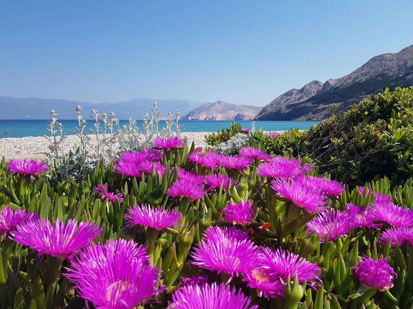 Guest house Apartments Lovincic Baska  Croatia